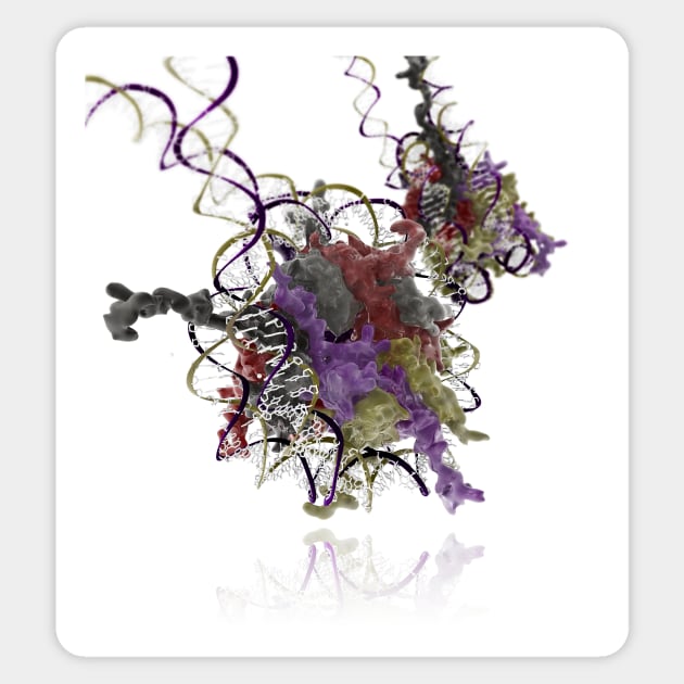 Nucleosome molecule (C006/8080) Sticker by SciencePhoto
